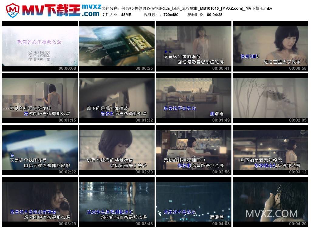 何禹妃-想你的心伤得那么深_国语_流行歌曲_MB101015